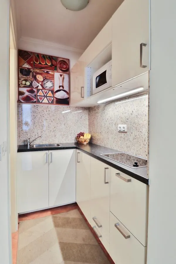 Apartment Praga